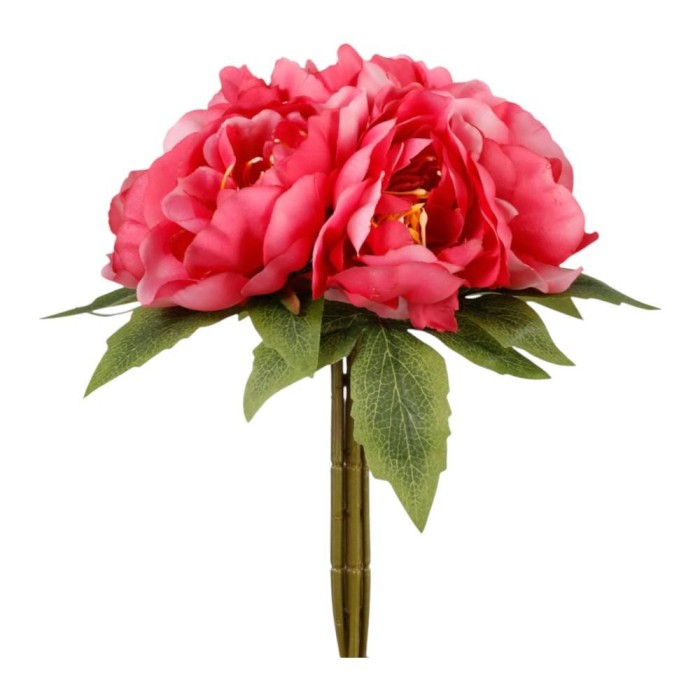 BUNDLE PEONIE CM.28 BEAUTY